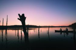 Discover the "Undiscovered" Patoka Lake